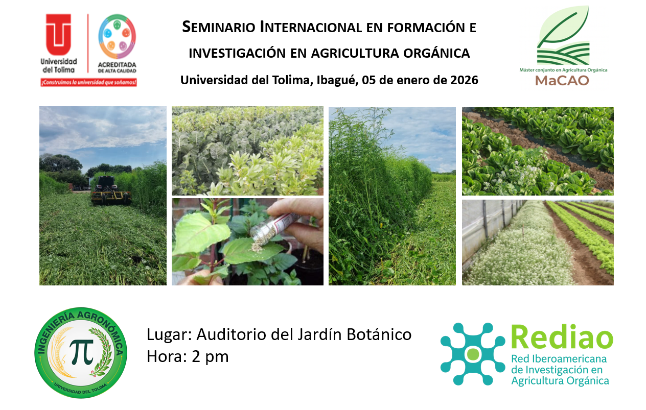 2 Imagen Información General